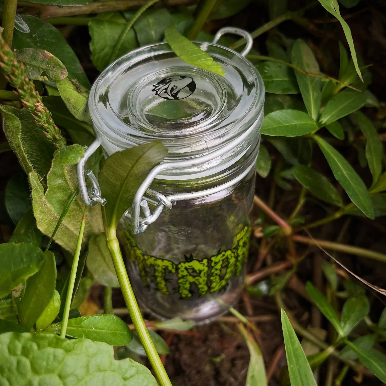 Pote Hermético ® - Logo Buds 45ml