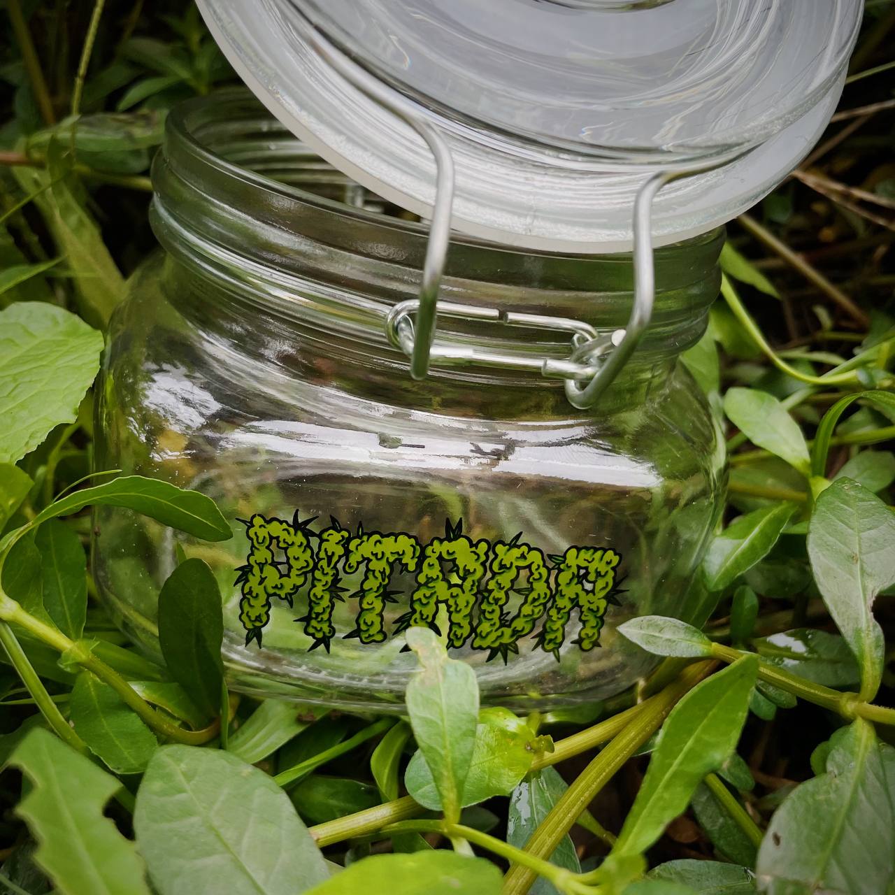 Pote Hermético ® - Logo Buds 450ml